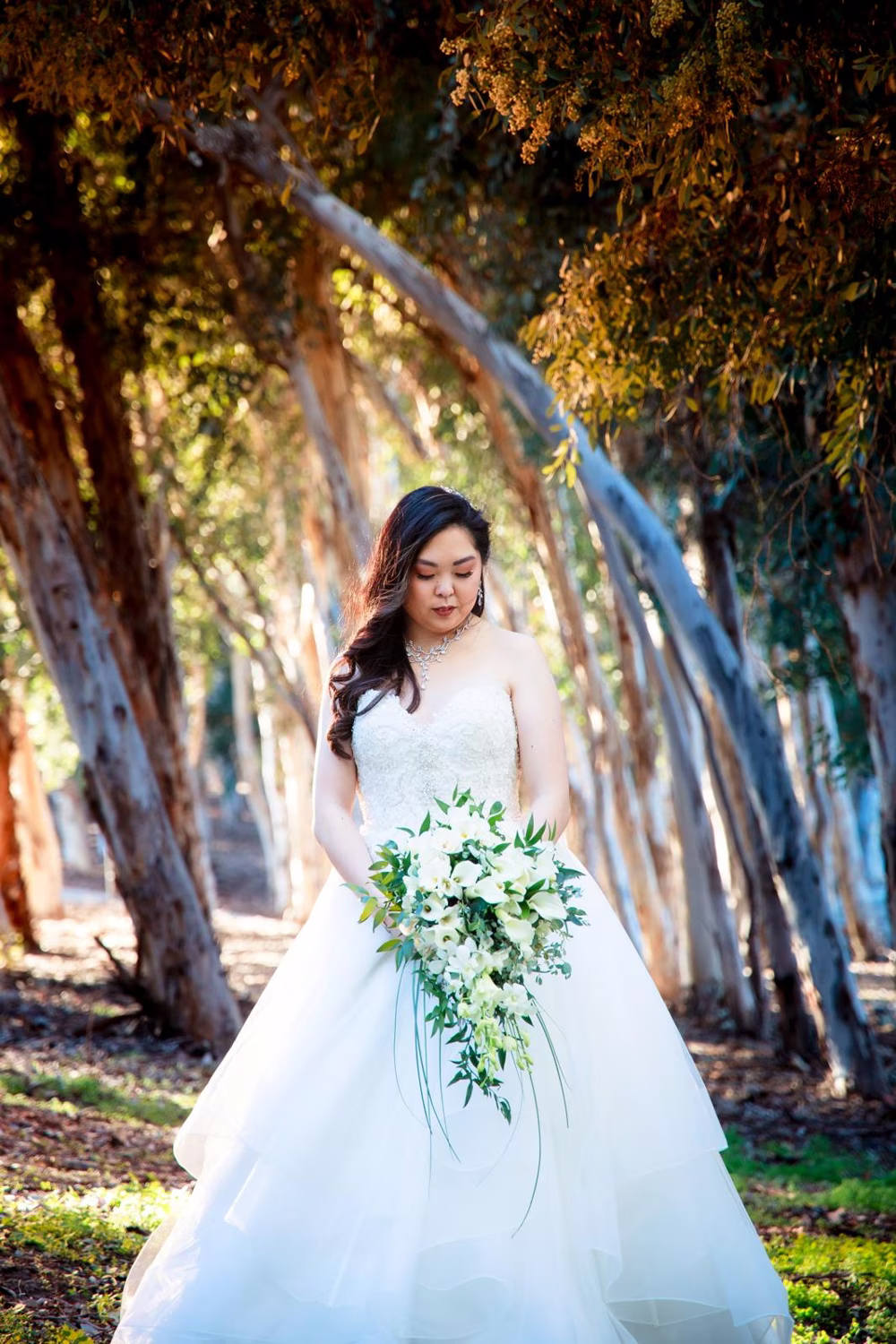 Stephanie Photo 1