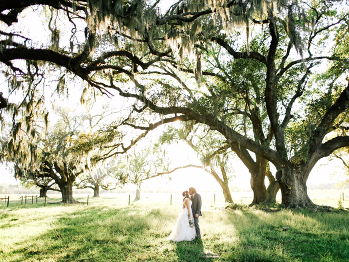 Sarah E. Photo 2
